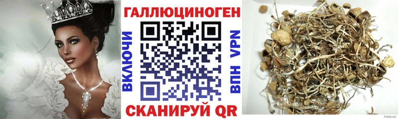 Псилоцибиновые грибы Magic Shrooms купить наркотик Усмань